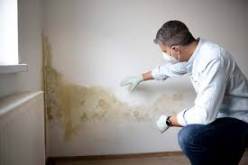 Best HVAC Mold Inspection and Cleaning  in Athens, WV